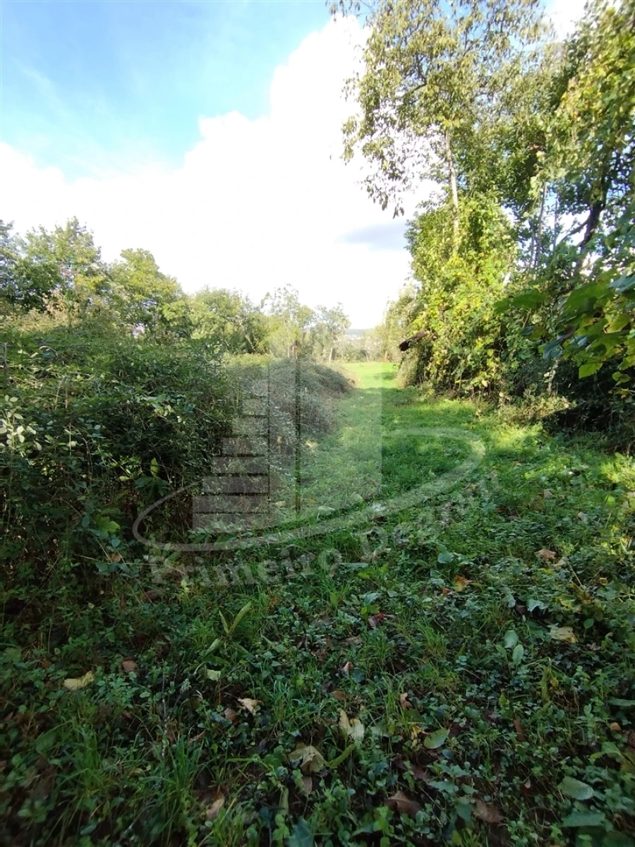 Quinta T0 para Venda em Este (São Pedro e São Mamede) Foto 17