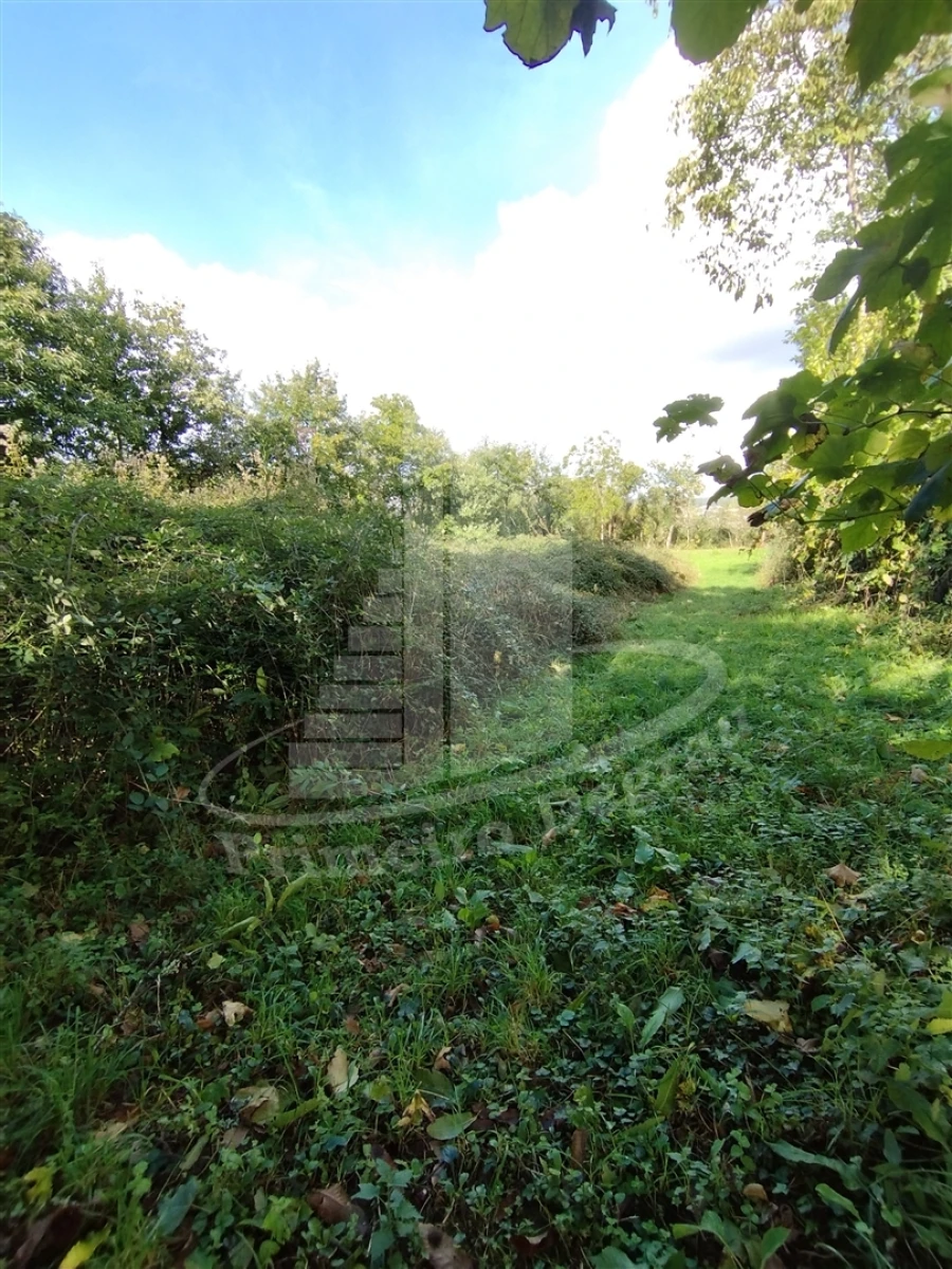 Quinta T0 para Venda em Este (São Pedro e São Mamede) Foto 16