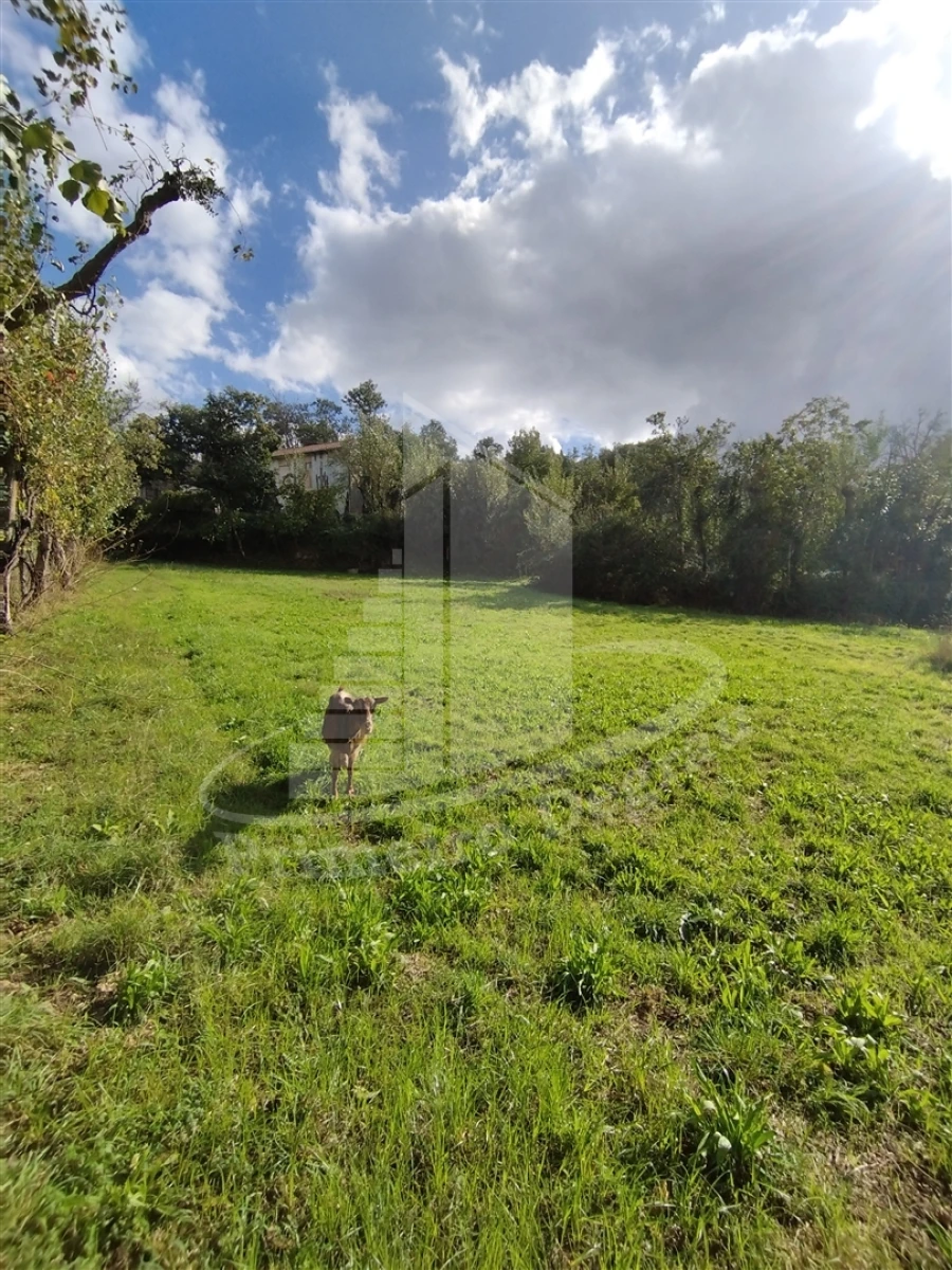 Quinta T0 para Venda em Este (São Pedro e São Mamede) Foto 3