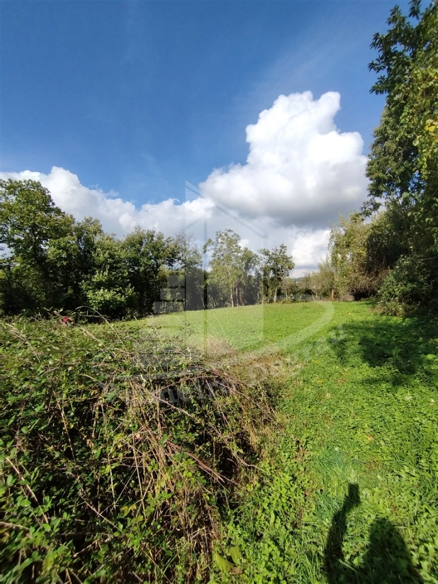 Quinta T0 para Venda em Este (São Pedro e São Mamede) Foto 14