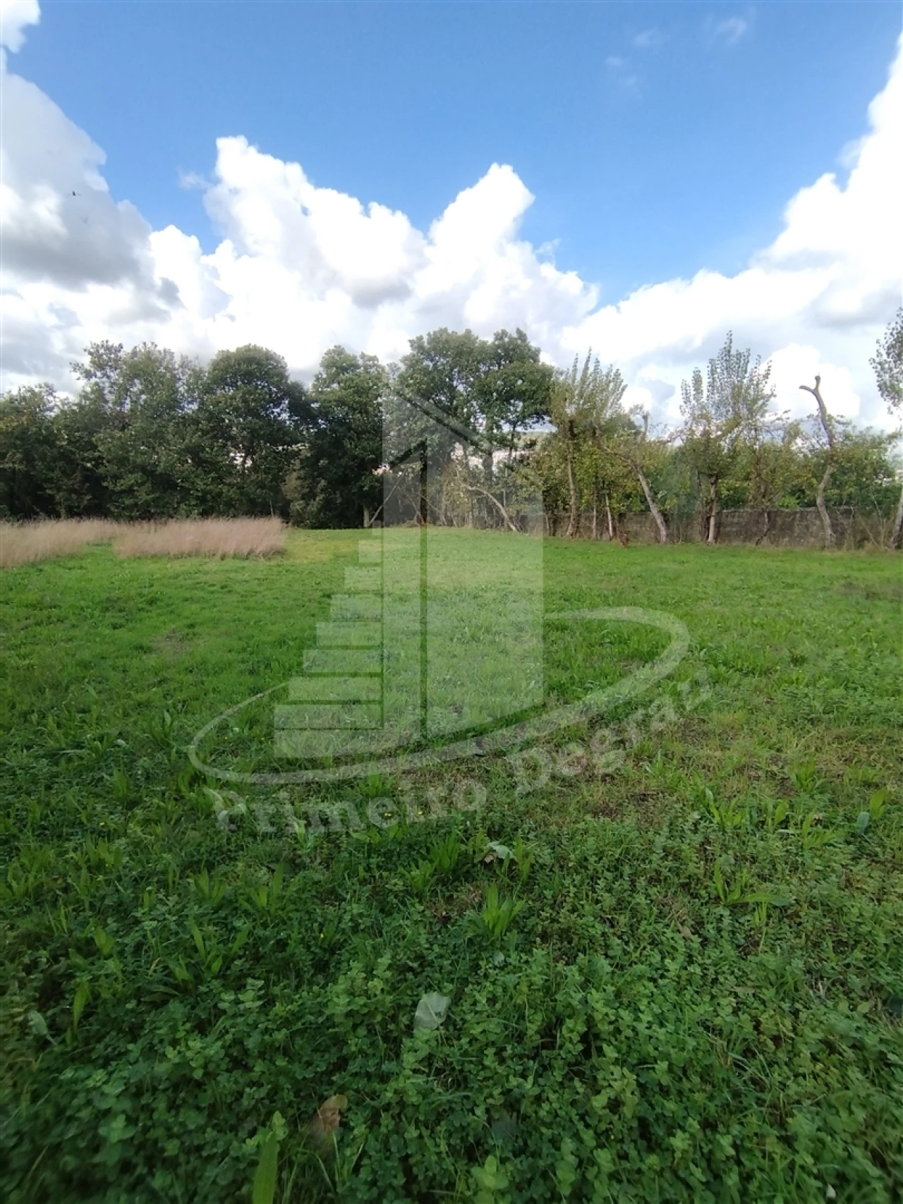 Quinta T0 para Venda em Este (São Pedro e São Mamede) Foto 9