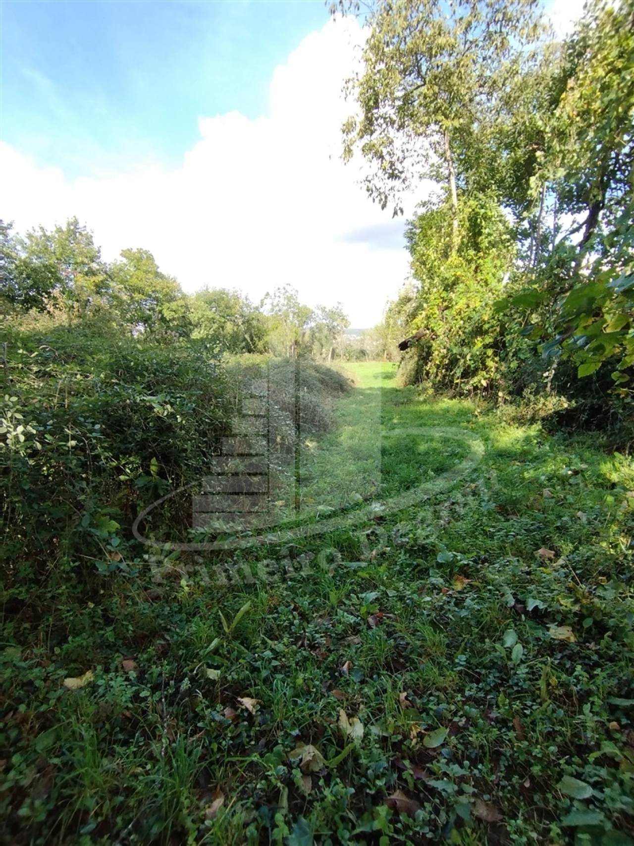 Quinta T0 para Venda em Este (São Pedro e São Mamede) Foto 17