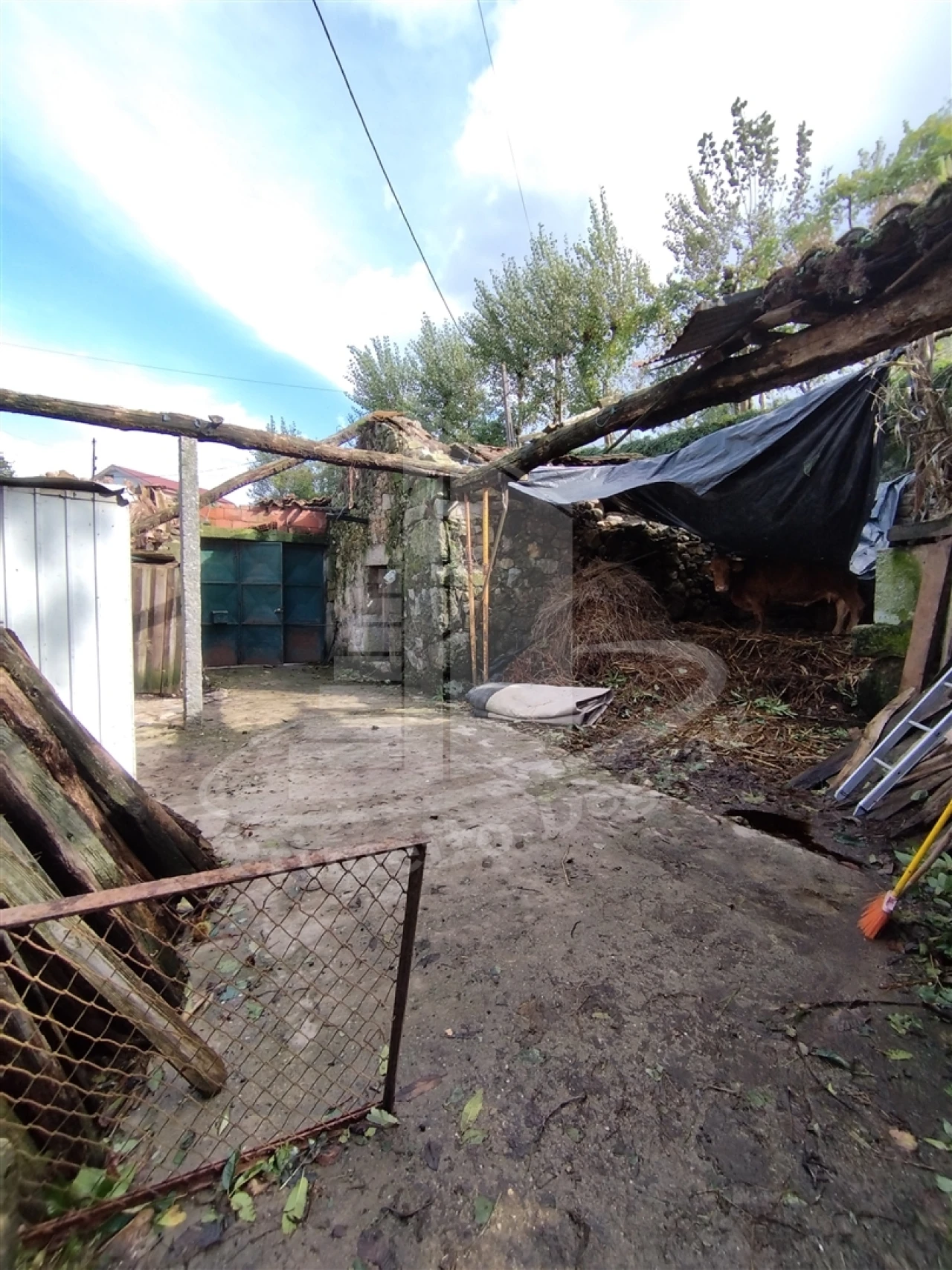 Quinta T0 para Venda em Este (São Pedro e São Mamede) Foto 23