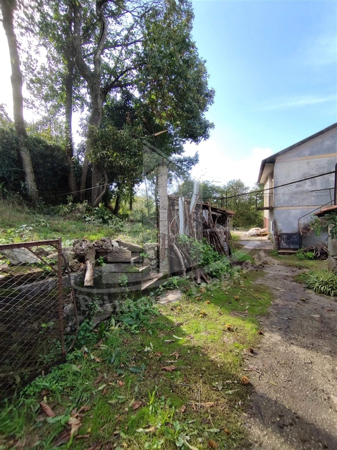 Quinta T0 para Venda em Este (São Pedro e São Mamede) Foto 21