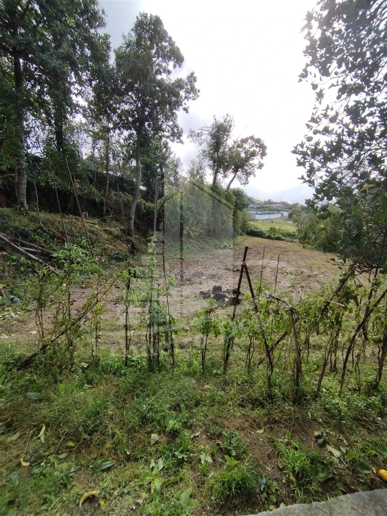 Quinta T0 para Venda em Este (São Pedro e São Mamede) Foto 27