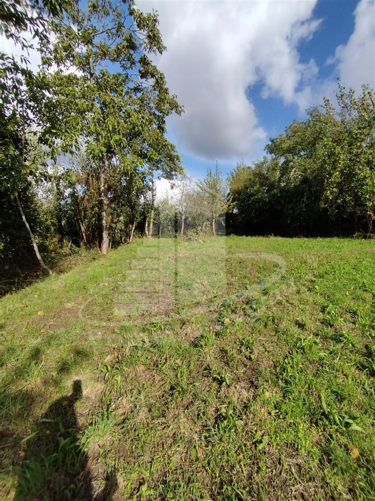 Quinta T0 para Venda em Este (São Pedro e São Mamede) Foto 1