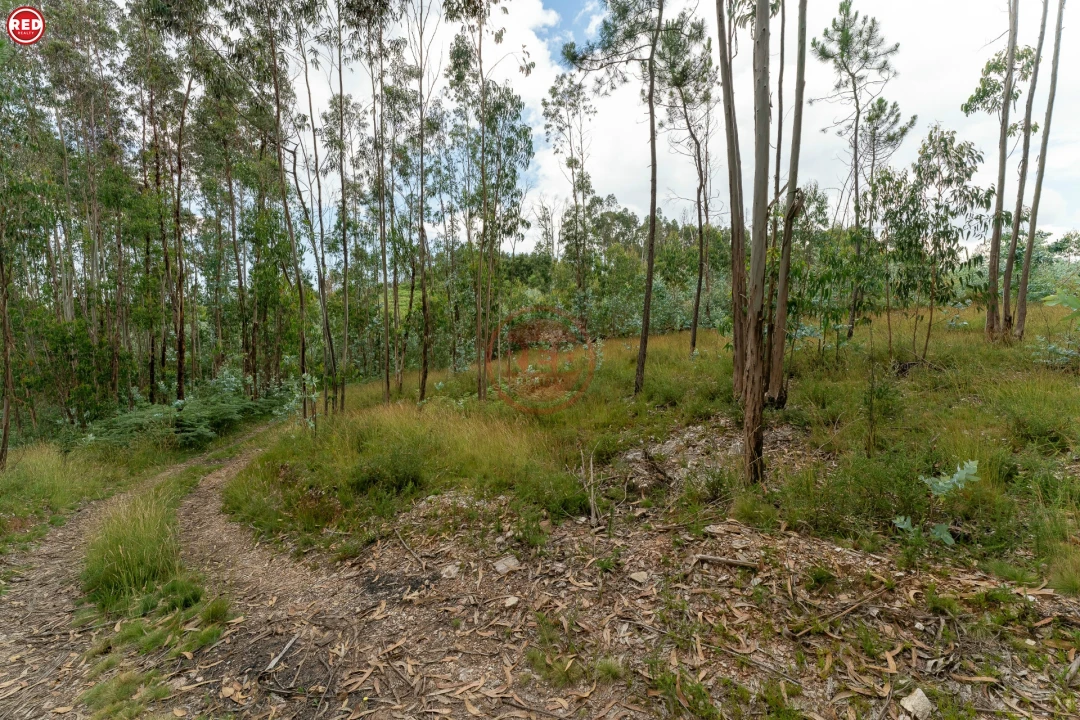 Quinta T0 para Venda em Sandim, Olival, Lever e Crestuma Foto 8