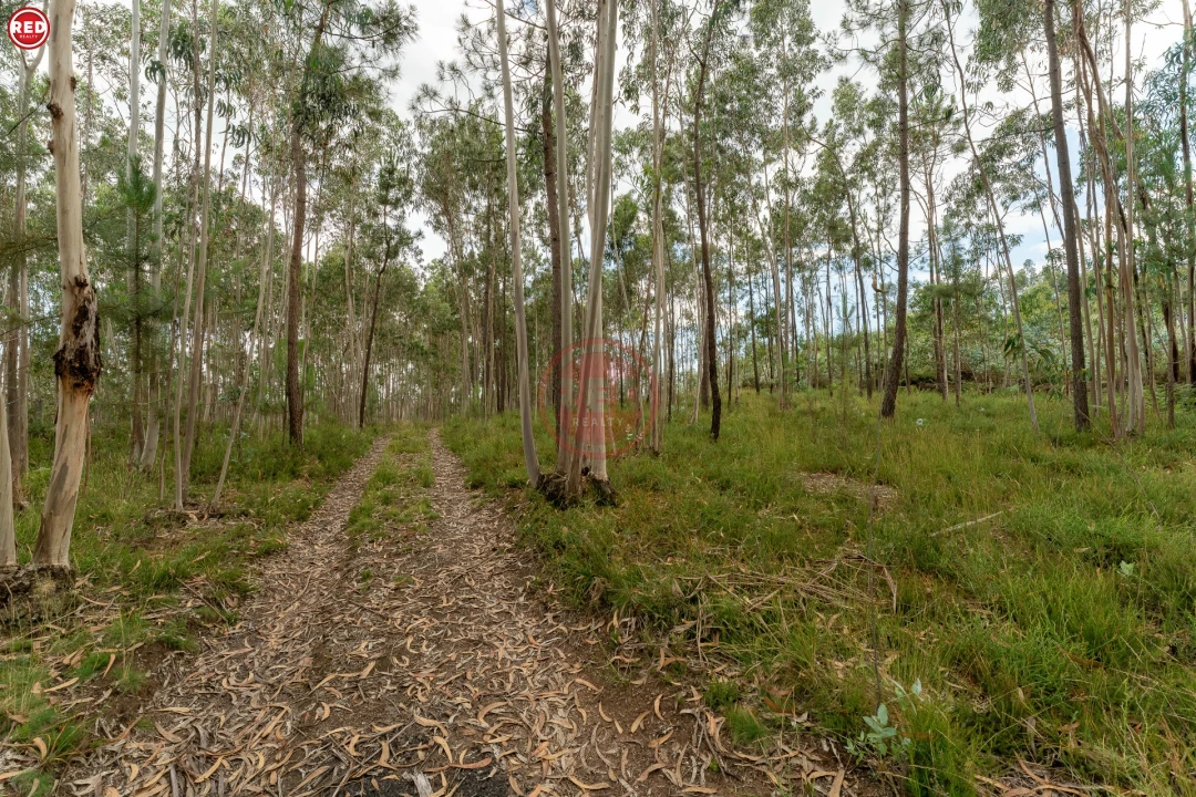 Quinta T0 para Venda em Sandim, Olival, Lever e Crestuma Foto 4