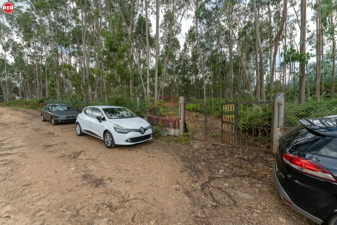 Quinta T0 para Venda em Sandim, Olival, Lever e Crestuma Foto 12