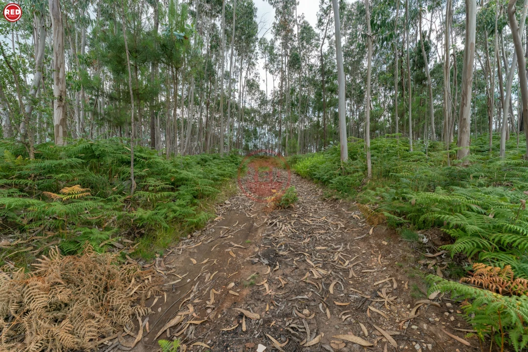 Quinta T0 para Venda em Sandim, Olival, Lever e Crestuma Foto 3