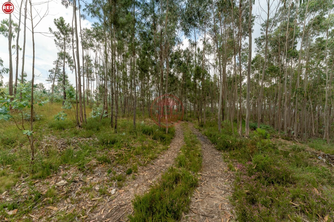 Quinta T0 para Venda em Sandim, Olival, Lever e Crestuma Foto 9