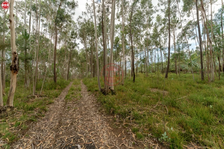 Quinta T0 para Venda em Sandim, Olival, Lever e Crestuma Foto 4