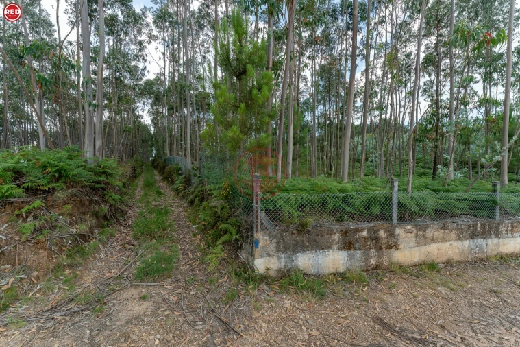 Quinta T0 para Venda em Sandim, Olival, Lever e Crestuma Foto 14