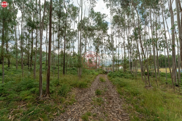 Quinta T0 para Venda em Sandim, Olival, Lever e Crestuma