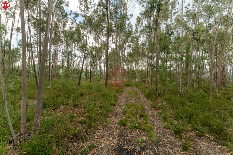 Quinta T0 para Venda em Sandim, Olival, Lever e Crestuma Foto 5
