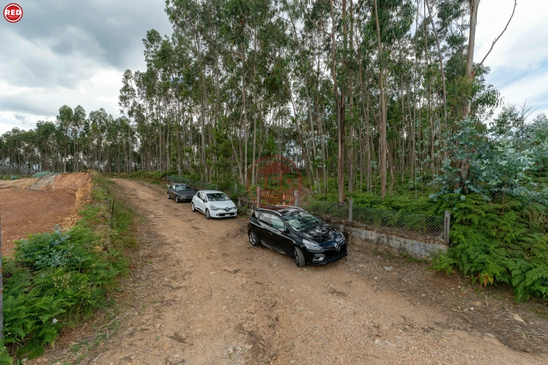 Quinta T0 para Venda em Sandim, Olival, Lever e Crestuma Foto 11