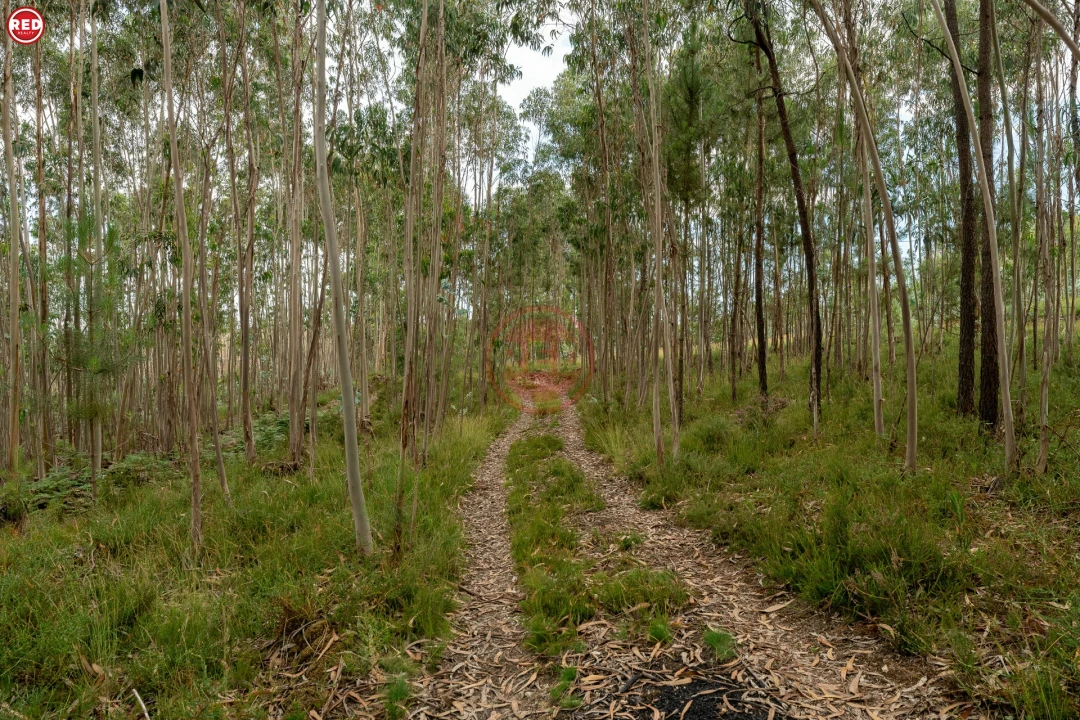 Quinta T0 para Venda em Sandim, Olival, Lever e Crestuma Foto 6
