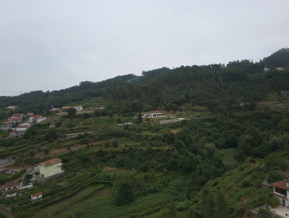 Quinta T0 para Venda em Fornos Foto 7