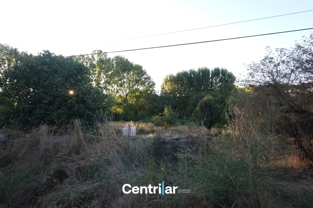 Terreno para Venda em Repeses e São Salvador Foto 4