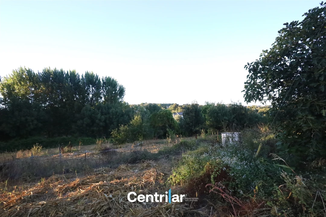 Terreno para Venda em Repeses e São Salvador Foto 6