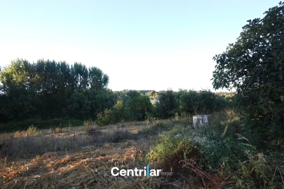 Terreno para Venda em Repeses e São Salvador