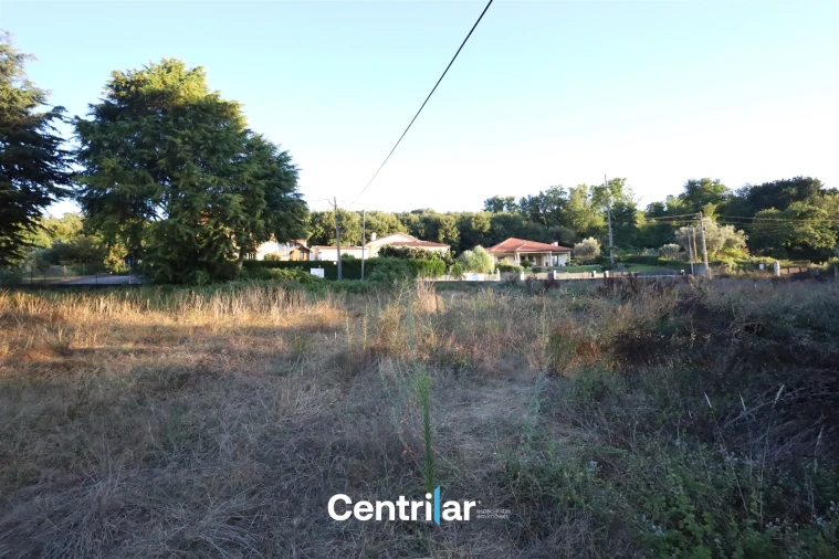 Terreno para Venda em Repeses e São Salvador Foto 8