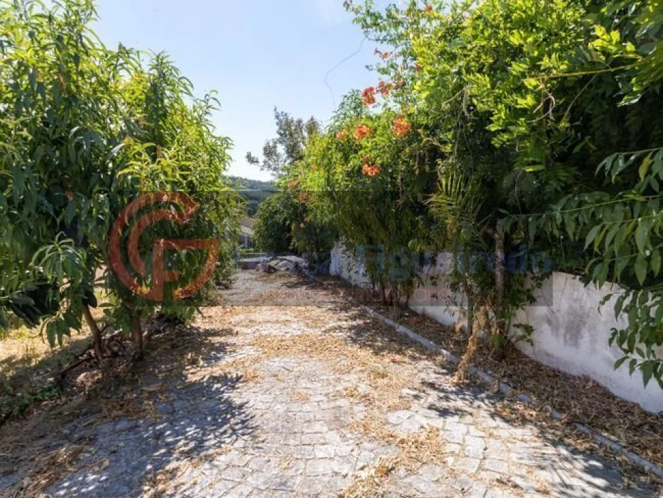 Moradia T3 para Venda em Santa Comba Dão e Couto do Mosteiro Foto 18