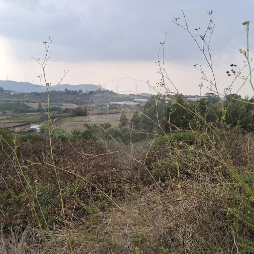 Terreno para Venda em Fanhões Foto 2