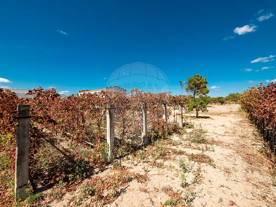 Garagem para Venda em Vale da Pedra Foto 21