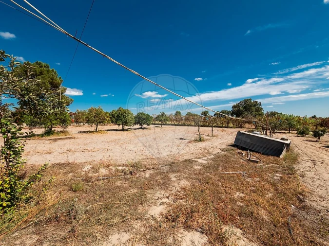 Garagem para Venda em Vale da Pedra Foto 20