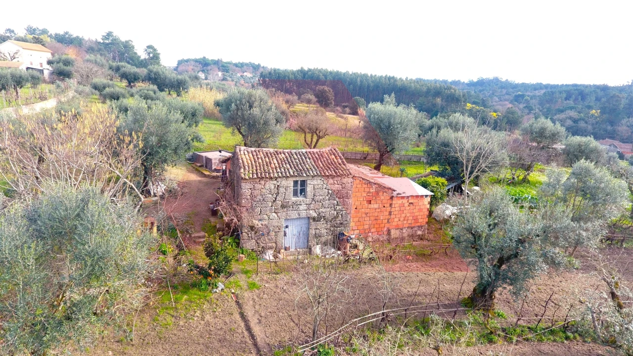 Terreno Agricola ou Rústico para Venda em Povoa de Midões Foto 1