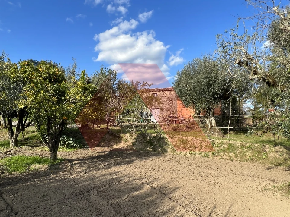 Terreno Agricola ou Rústico para Venda em Povoa de Midões Foto 9