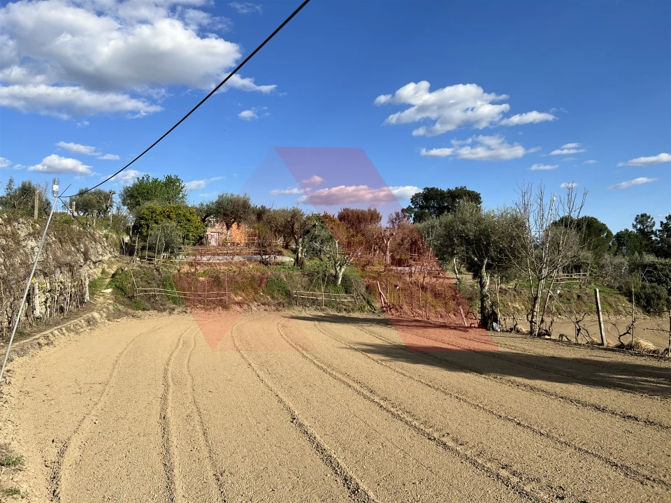 Terreno Agricola ou Rústico para Venda em Povoa de Midões Foto 6