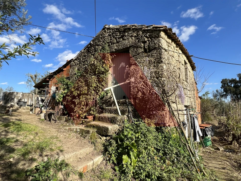 Terreno Agricola ou Rústico para Venda em Povoa de Midões Foto 13
