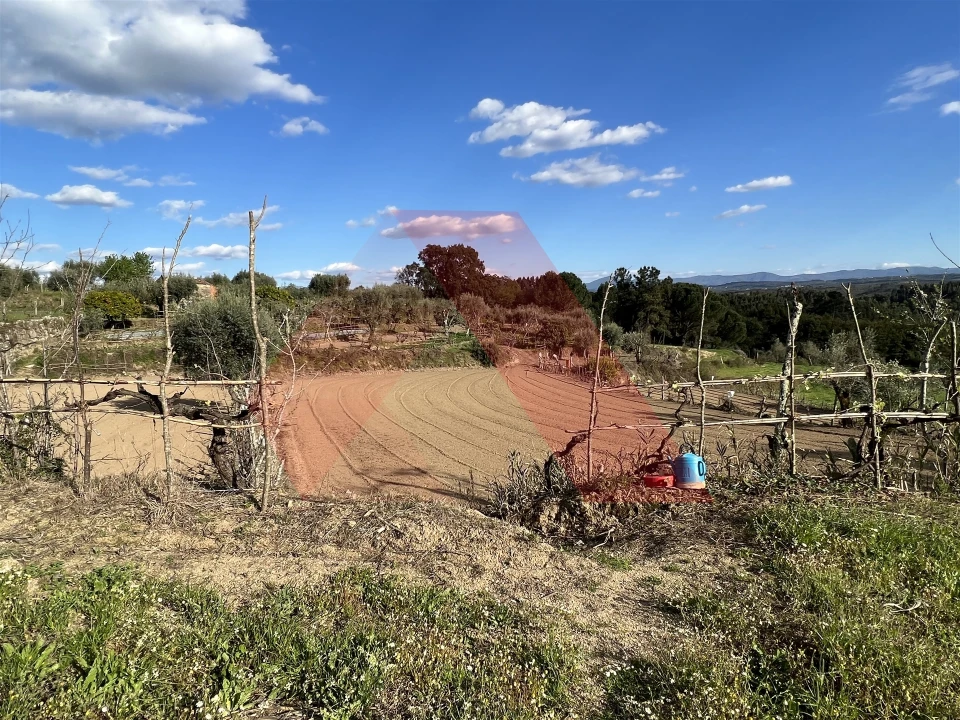 Terreno Agricola ou Rústico para Venda em Povoa de Midões Foto 4