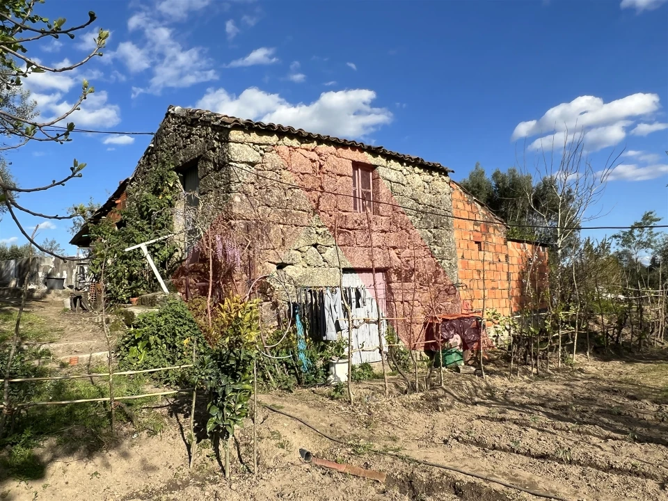 Terreno Agricola ou Rústico para Venda em Povoa de Midões Foto 12