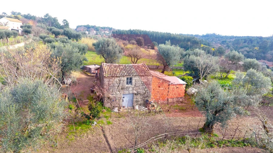 Terreno Agricola ou Rústico para Venda em Povoa de Midões