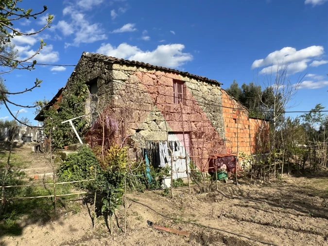 Terreno Agricola ou Rústico para Venda em Povoa de Midões Foto 12