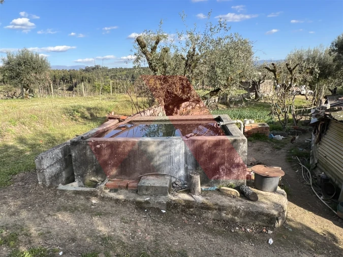 Terreno Agricola ou Rústico para Venda em Povoa de Midões Foto 11