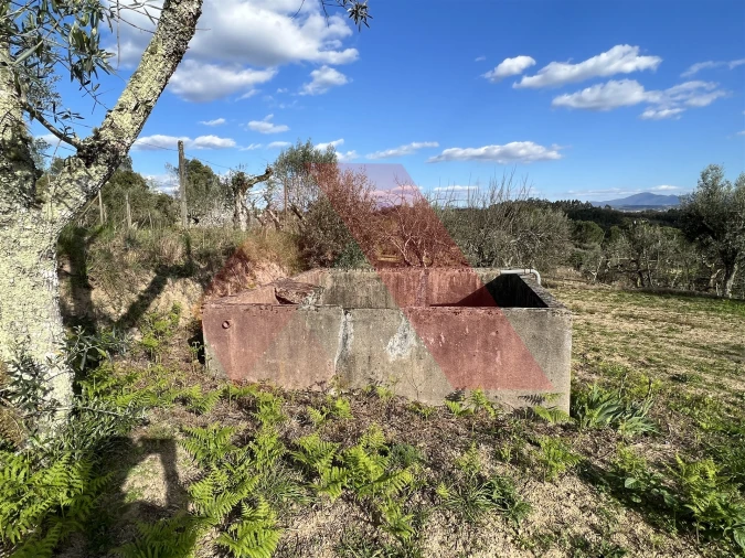 Terreno Agricola ou Rústico para Venda em Povoa de Midões Foto 2