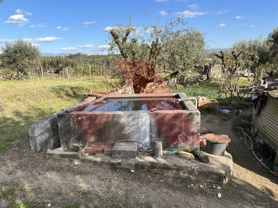 Terreno Agricola ou Rústico para Venda em Povoa de Midões Foto 11