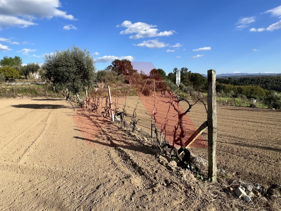 Terreno Agricola ou Rústico para Venda em Povoa de Midões Foto 5