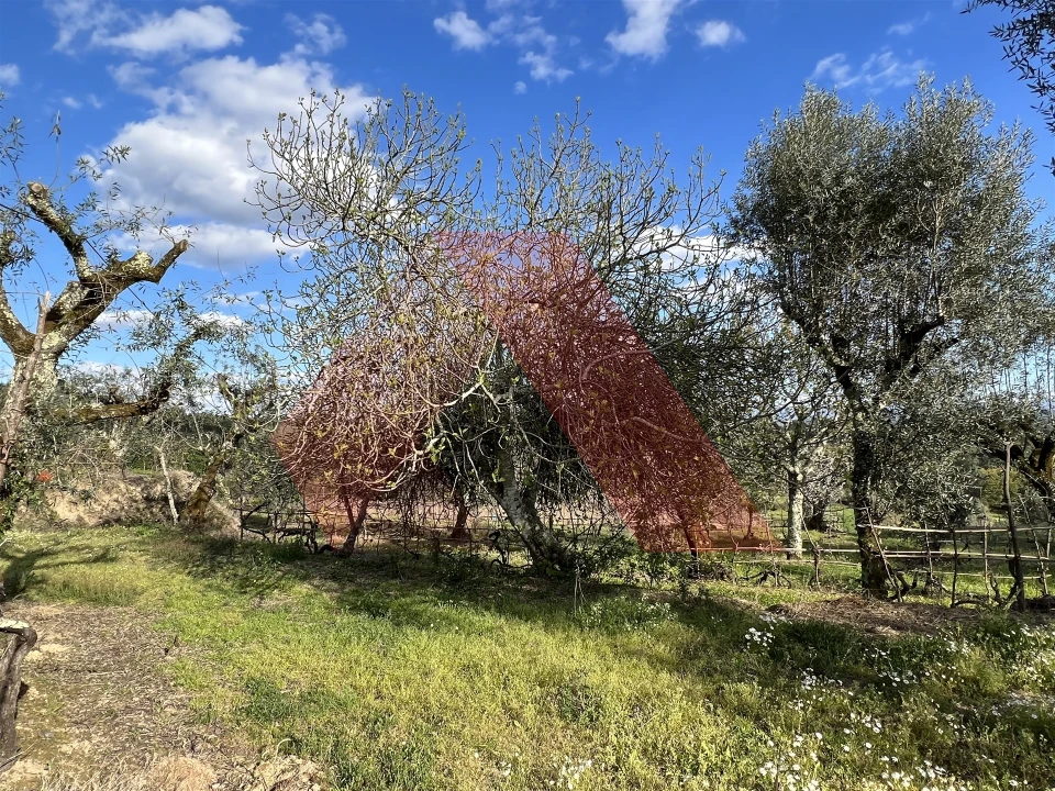 Terreno Agricola ou Rústico para Venda em Povoa de Midões Foto 10