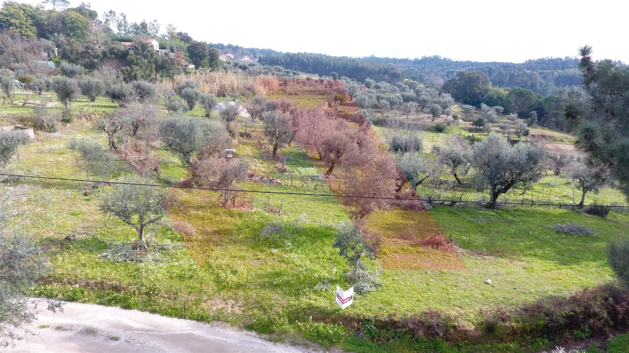 Terreno Agricola ou Rústico para Venda em Povoa de Midões Foto 14