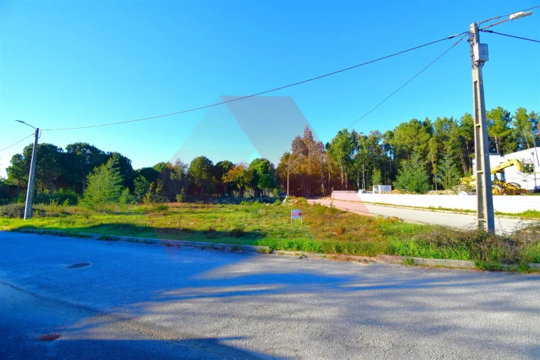 Terreno para Venda em Tabua Foto 5