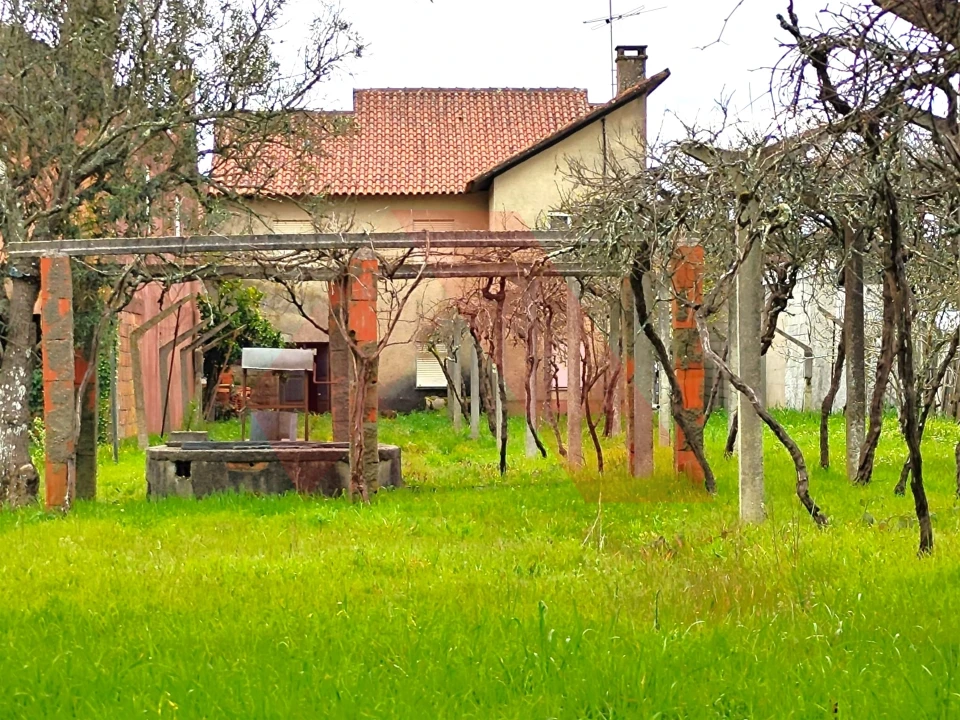 Moradia T3 para Venda em Espariz e Sinde Foto 12