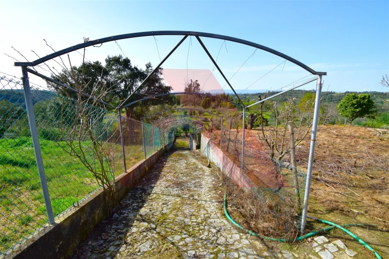 Moradia T5 para Venda em Covas e Vila Nova de Oliveirinha Foto 28