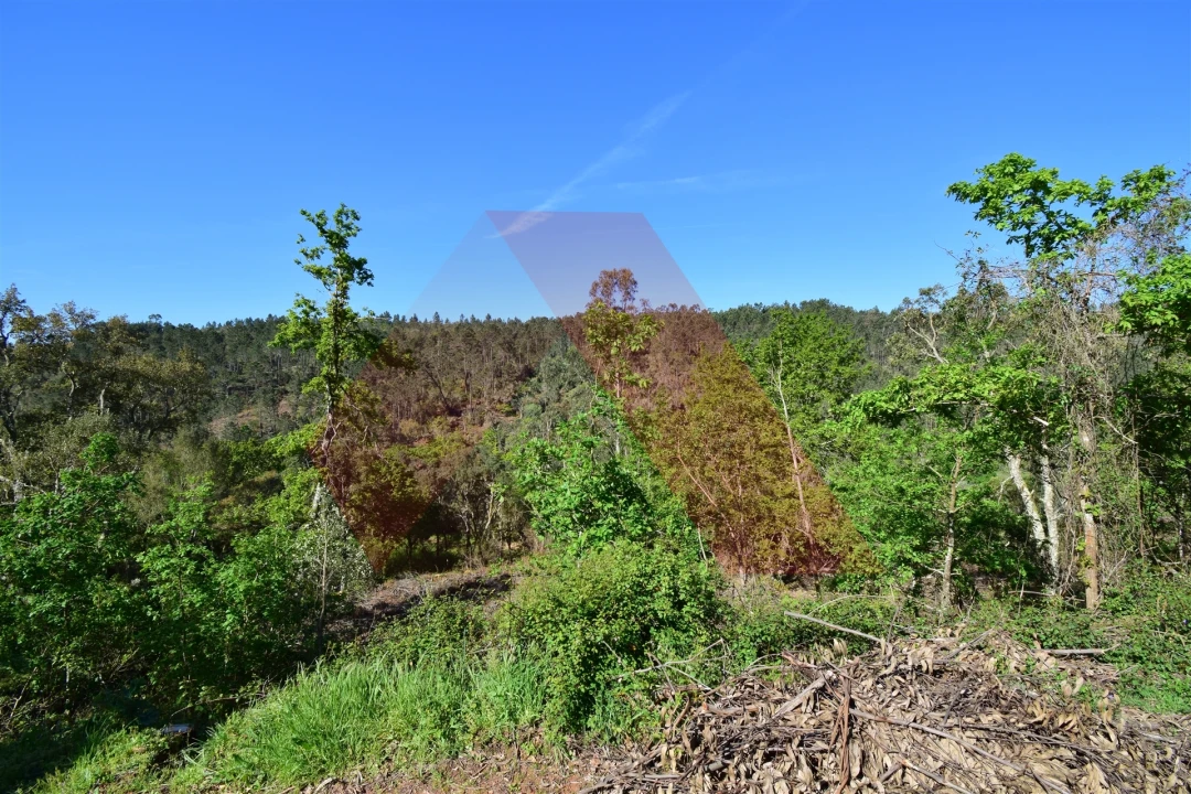 Terreno Agricola ou Rústico para Venda em Mouronho Foto 4
