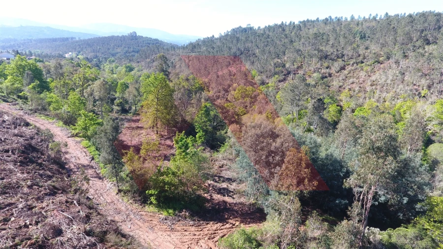 Terreno Agricola ou Rústico para Venda em Mouronho Foto 7