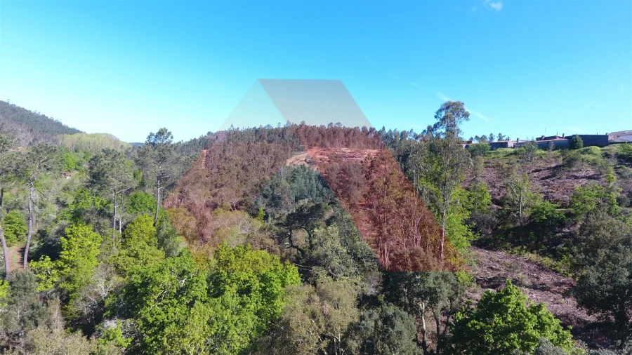 Terreno Agricola ou Rústico para Venda em Mouronho Foto 6